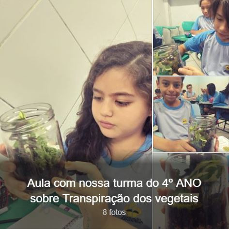 Aula da turma do 4ºAno sobre Transpiração dos vegetais