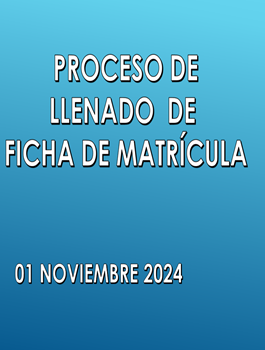 Proceso de llenado ficha matrícula