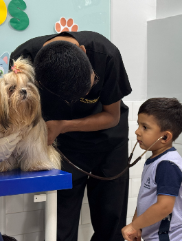 Aula do Paradidático: Animais Domésticos