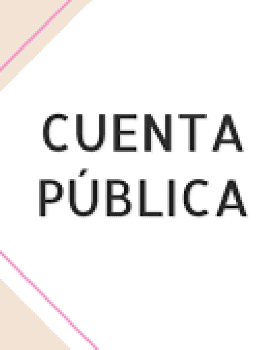 Cuenta Pública 2025