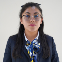 Maya Ivette Toledo Flores
