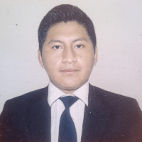 Prof. Quisbert Patzi Yulian Fernando