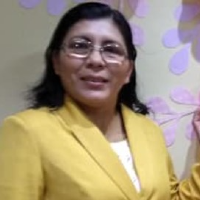 Mg. Damaris Pinedo Chambi