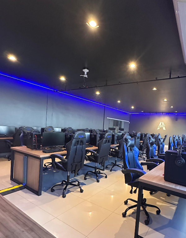 Arena Gamer