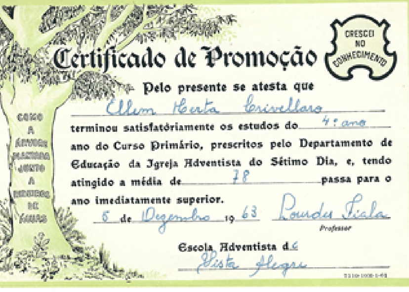 Local e Conclusão